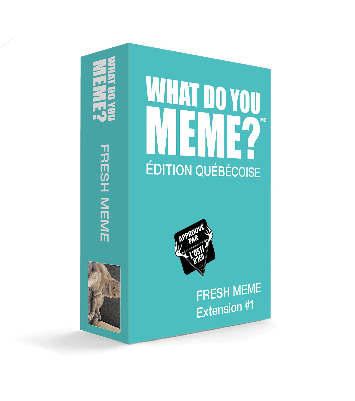 What Do You Meme ? Fresh Meme Ext. #1 - Édition Québécoise - FR - Randolph